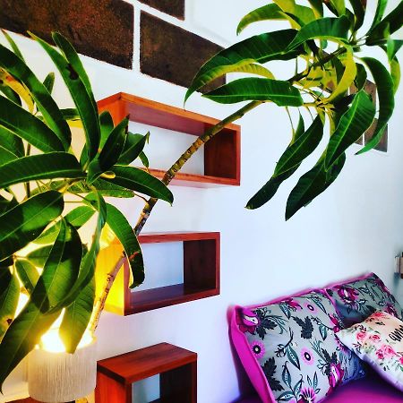 Anacardium Hotell Canoa Quebrada Eksteriør bilde